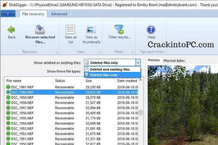 DiskDigger Crack