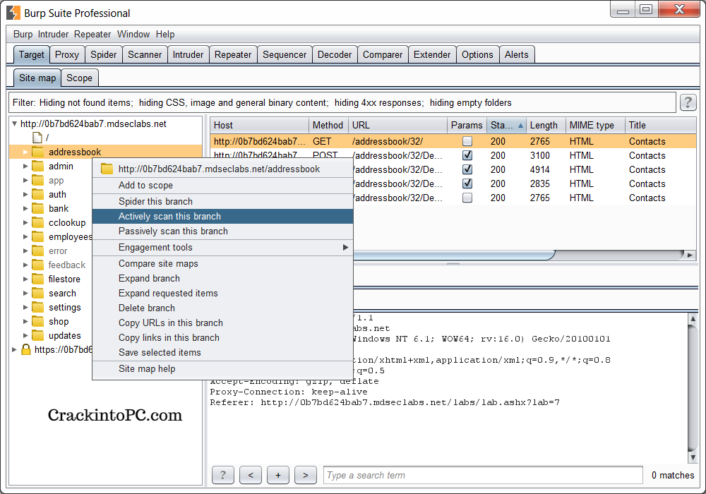 Burp Suite Pro Crack