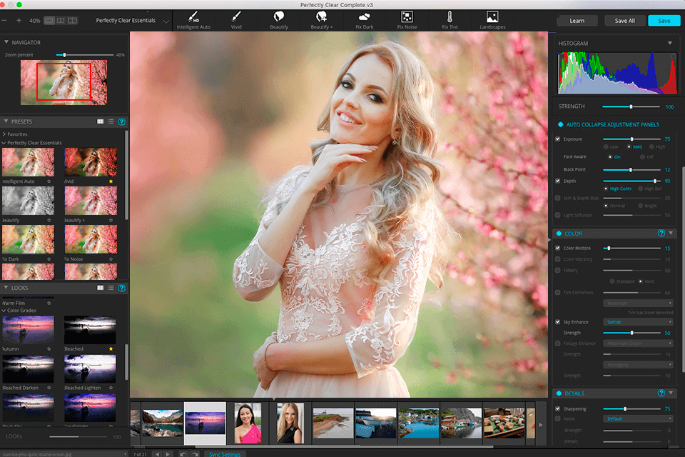 Perfectly Clear WorkBench 5.1.0.3194 Full Download