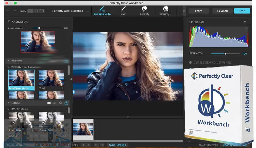 Perfectly Clear WorkBench 5.1.0.3194 Fully Download